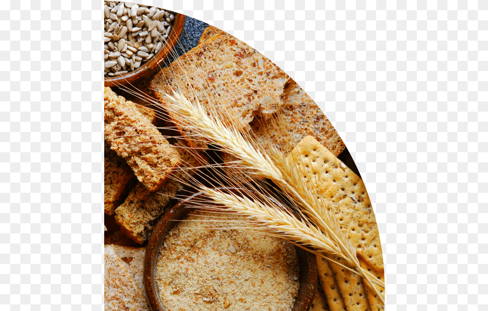 A Detailed Guide To Using Myplate Plus Grains Source In Plate, Bread, Food, Cracker, Grain Png Image