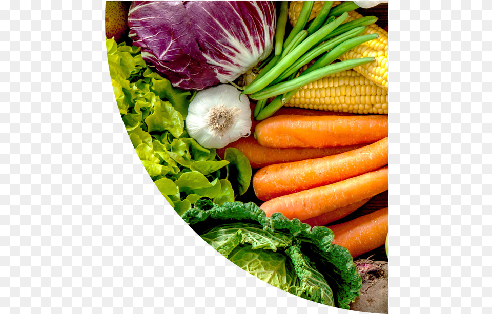 A Detailed Guide To Using Myplate Plus Packaging For Fresh Horticultural Produce, Food, Carrot, Plant, Vegetable Free Png Download