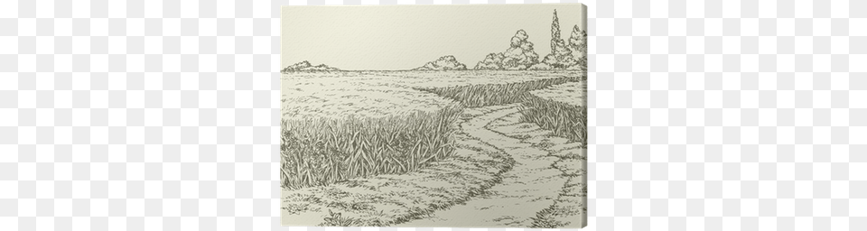 A Dirt Path Through Fields Of Wheat Canvas Print Vector Graphics, Art, Drawing, Painting Free Png