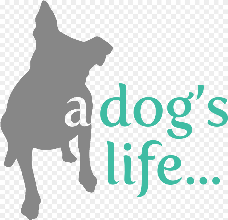 A Dog S Life Logo Cane Corso, Baby, Person, Animal, Mammal Free Transparent Png