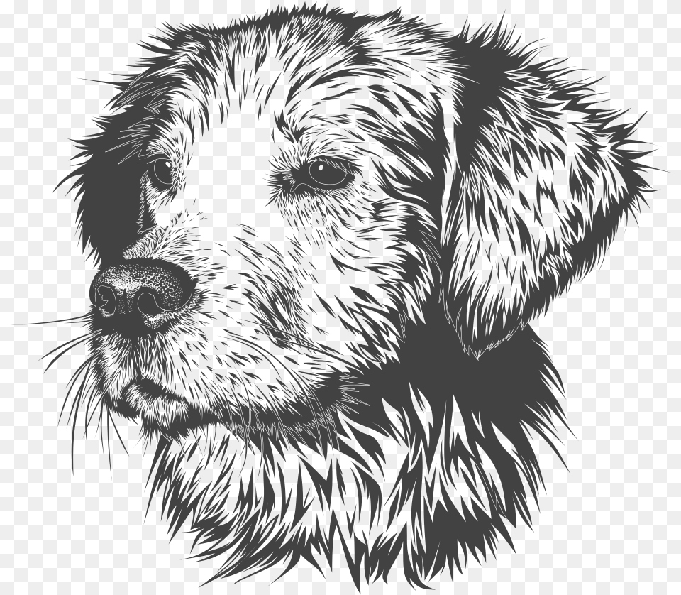 A Dog39s Head Blues Dog, Art, Drawing, Person Png Image