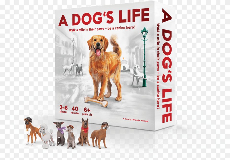 A Dogs S Life Game Dog39s Life Board Game, Animal, Canine, Dog, Golden Retriever Png