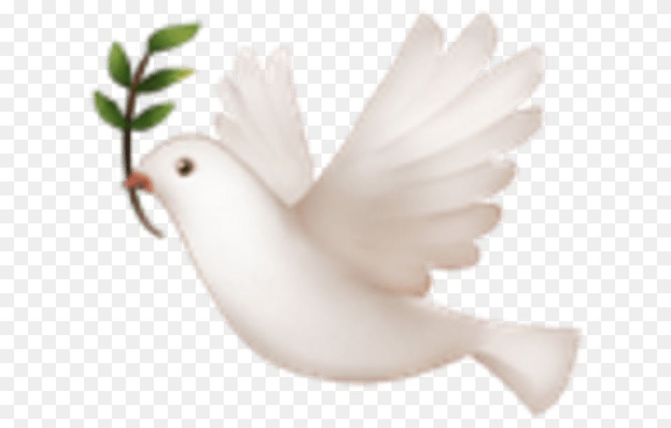 A Dove For When You Want To Make Peace With Yourself Dove Emoji, Animal, Bird, Pigeon, Accessories Free Png Download