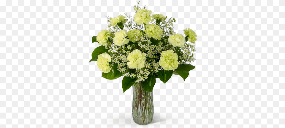 A Dozen Sweet Green Carnations Ohio, Art, Floral Design, Flower, Flower Arrangement Free Png Download