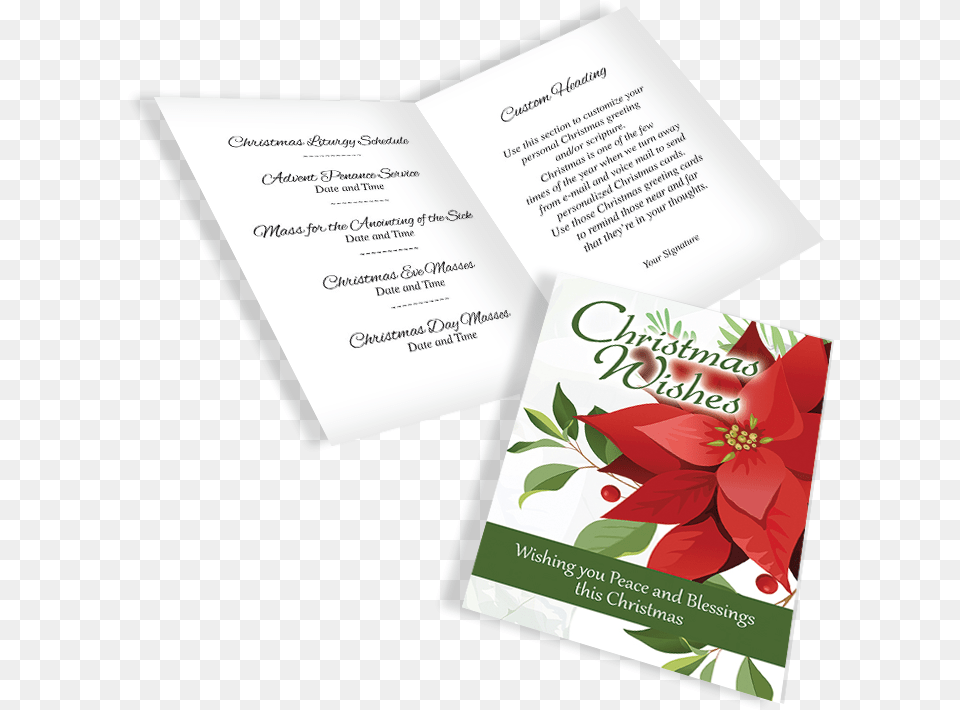 A Eng Display Poinsettia, Advertisement, Poster, Business Card, Paper Free Png