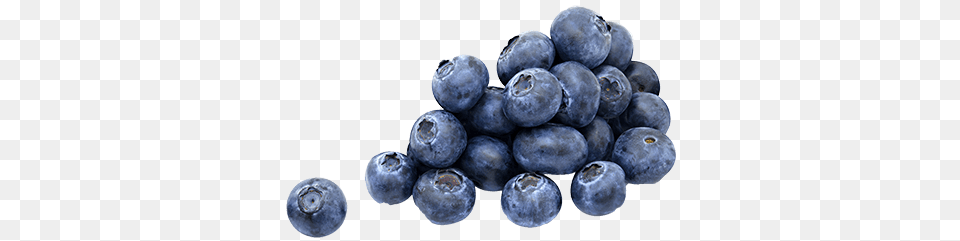 A Few Blueberries, Berry, Blueberry, Food, Fruit Png Image