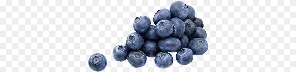A Few Blueberries Blueberry, Berry, Food, Fruit, Plant Png Image