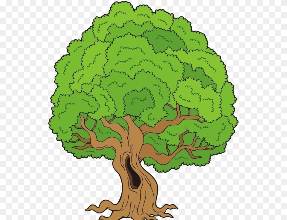 A Filha Da Rvore Plants And Trees Clipart, Plant, Tree, Potted Plant, Art Free Png