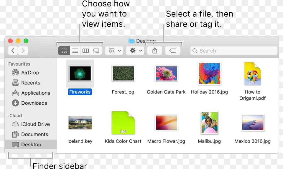 A Finder Window With The Finder Sidebar On The Left Apple Finder, File, Webpage, Person, Head Free Transparent Png