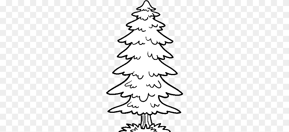 A Fir Coloring, Tree, Stencil, Plant, Adult Free Transparent Png
