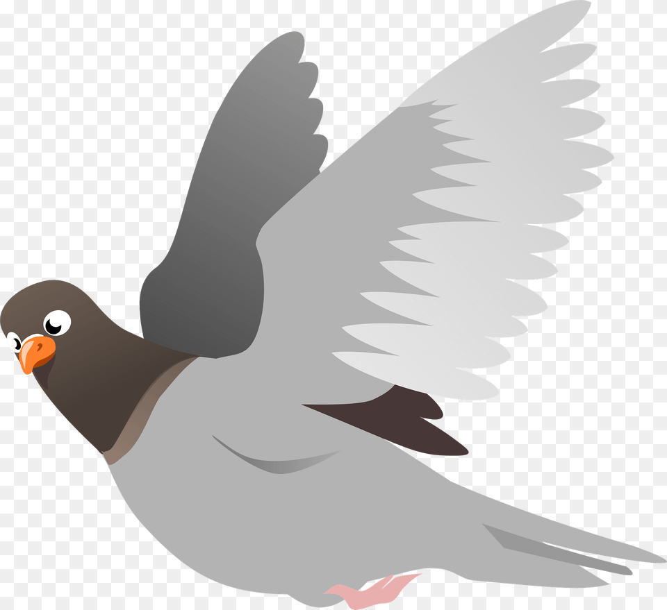 A Flying Pigeon Clipart, Animal, Bird, Dove, Fish Free Png Download