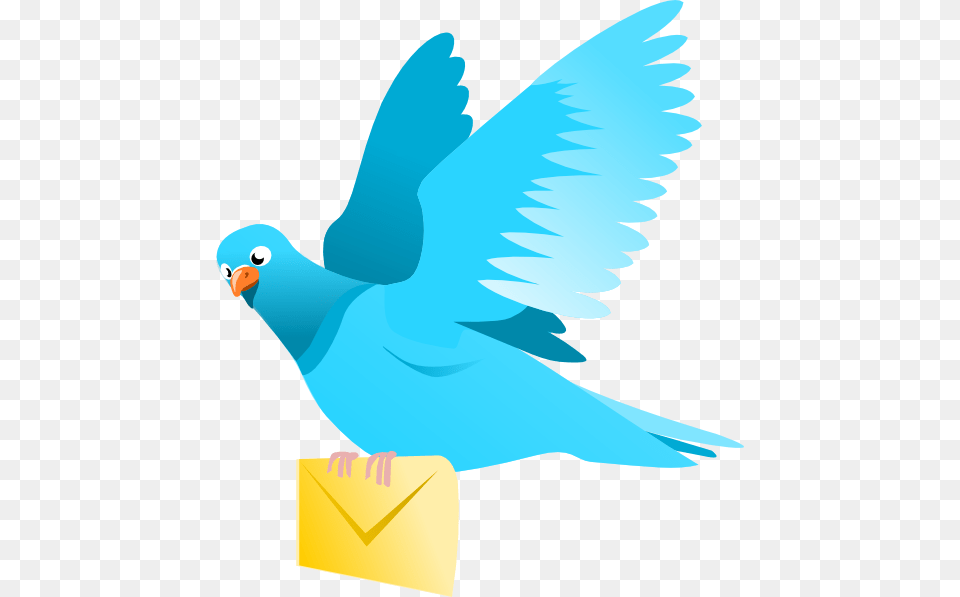 A Flying Pigeon Delivering A Message Clip Art, Animal, Bird, Parakeet, Parrot Free Png Download