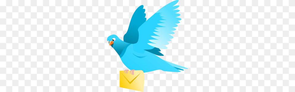 A Flying Pigeon Delivering A Message Clip Art For Web, Animal, Bird, Parakeet, Parrot Png Image