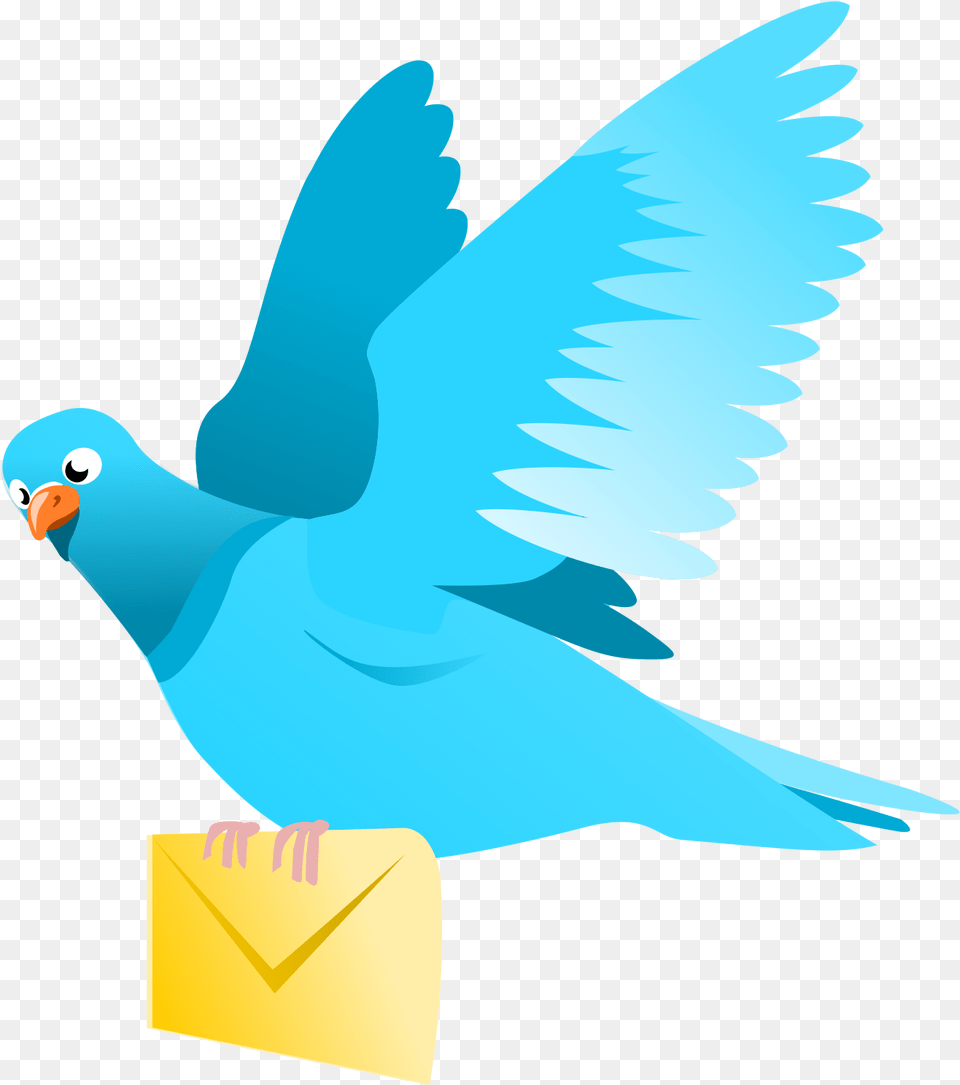 A Flying Pigeon Delivering A Message Clip Arts Transparent Flying Bird Clipart, Animal, Parakeet, Parrot Free Png Download