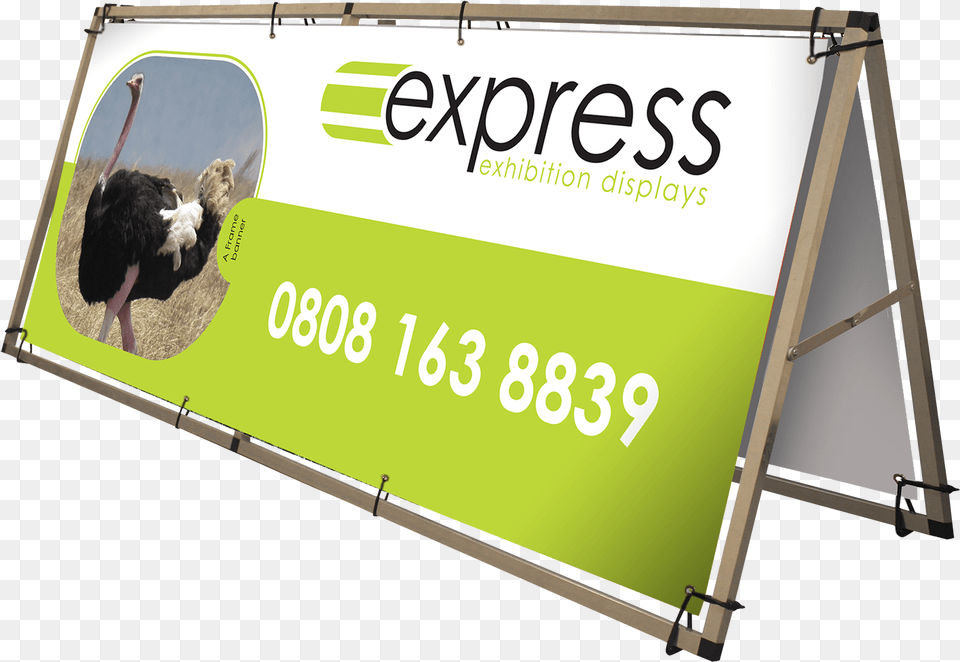 A Frame Banner Monsoon Banner Frame, Advertisement, Animal, Bird, Text Free Transparent Png