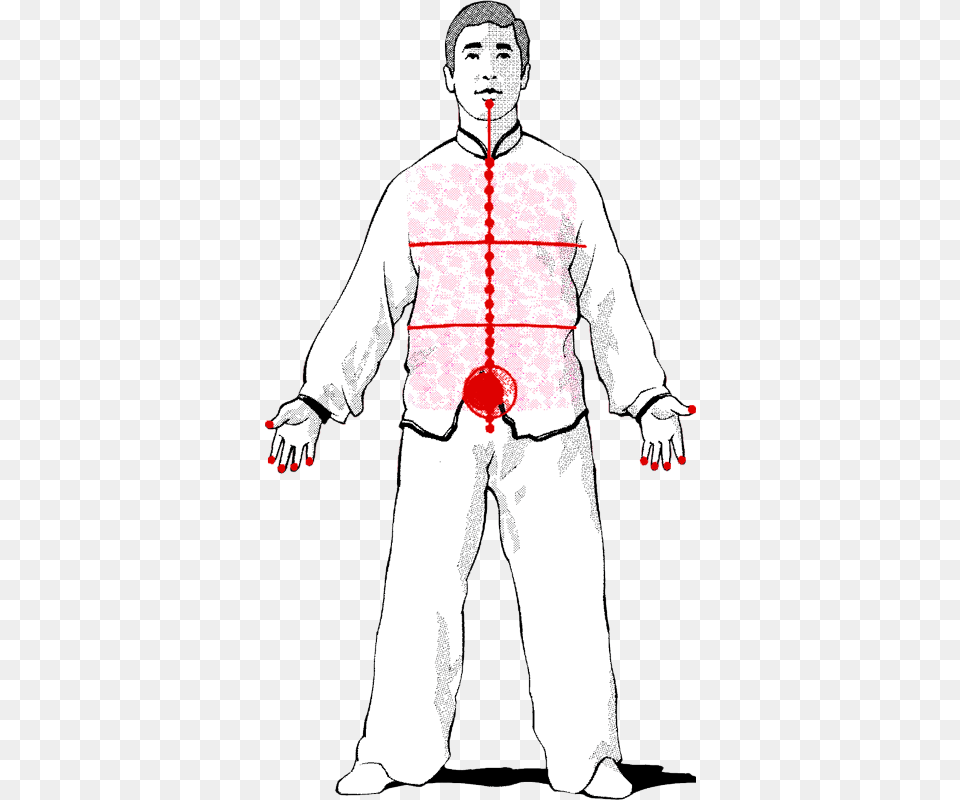 A Fundamental Part In The Training Of Luohan Gong Is Illustration, Chart, Plot, Adult, Male Free Transparent Png