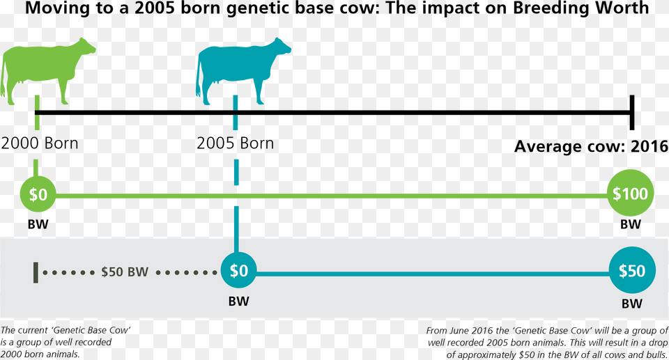 A Genetic Base Cow Update Usually Every Five Years Diagram, Animal, Cattle, Livestock, Mammal Png