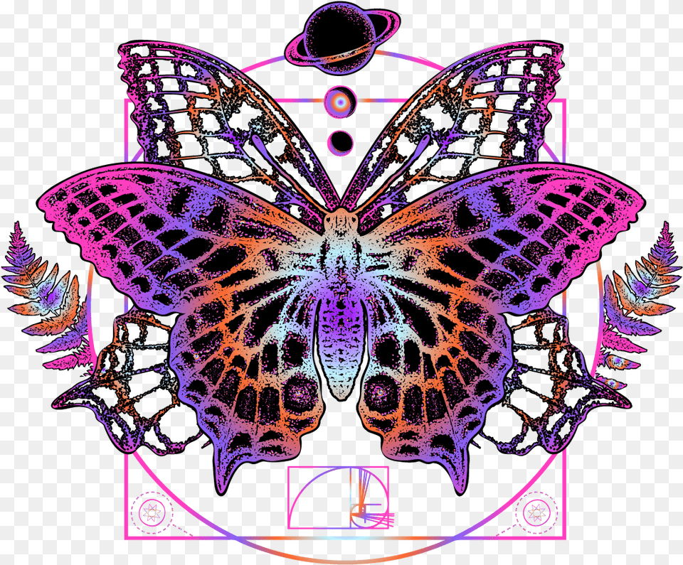 A Geometria Da Borboleta De Arte Original Papilio Machaon, Accessories, Fractal, Ornament, Pattern Free Png Download