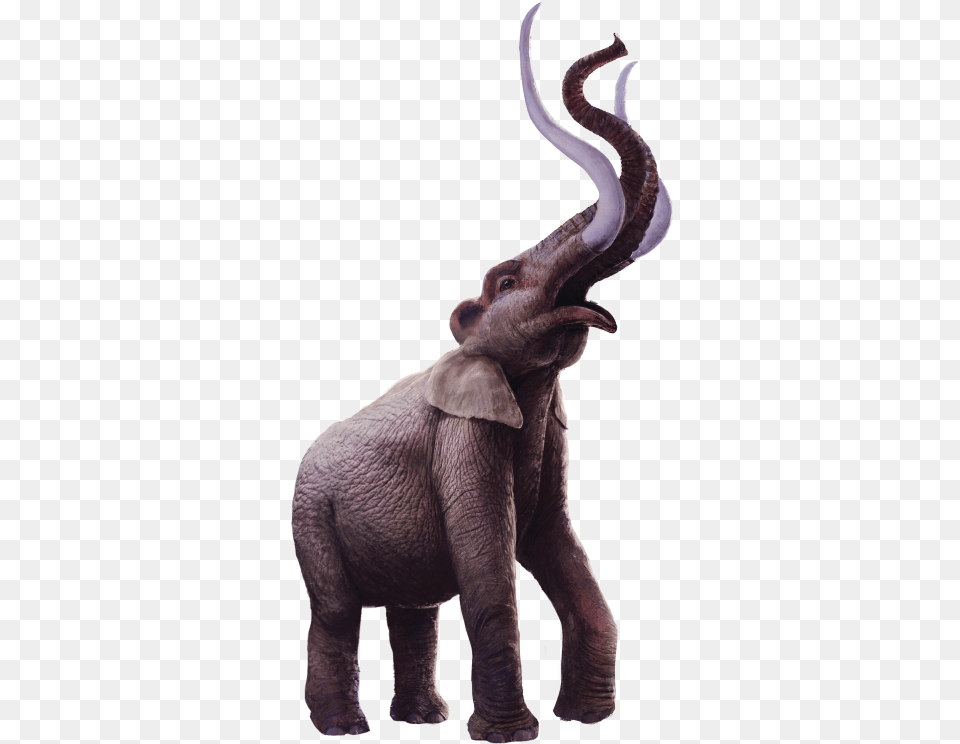 A Gigantic Family Reunion Nhm Animal Figure, Elephant, Mammal, Wildlife Png Image