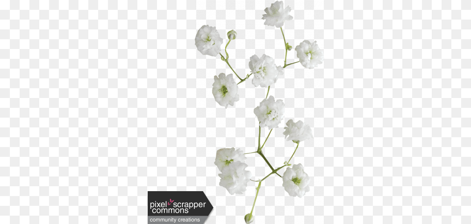 A Girl Thing Flower 01 Graphic By Sharon Grant Artificial Flower, Petal, Plant, Flower Arrangement Free Png