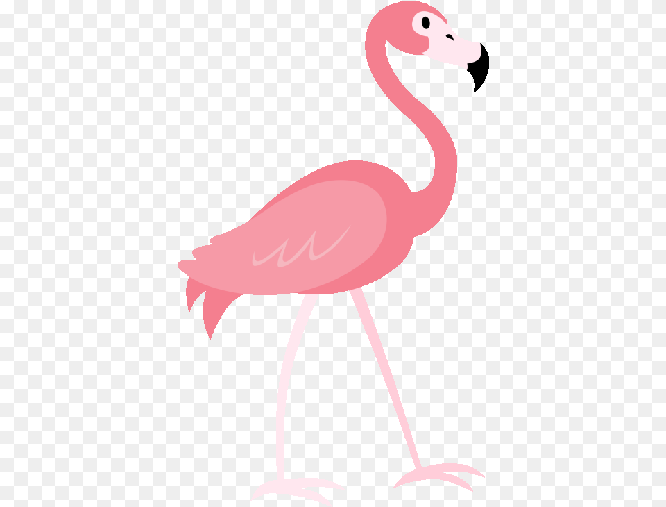 A Go New Orleans Animated Flamingo Gif, Animal, Bird, Kangaroo, Mammal Free Png Download