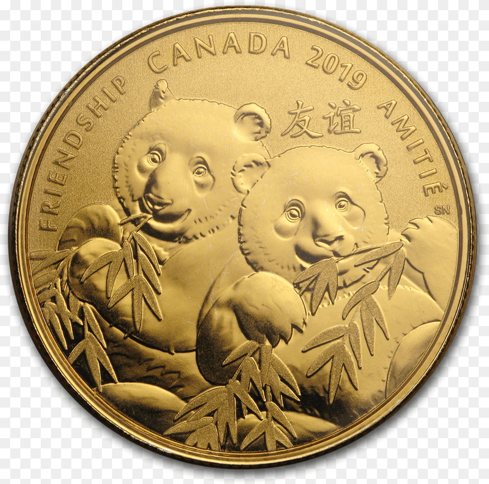 A Golden Gift Of Friendship Silver Gold Plated Coin 100 Gold Panda China Coin, Baby, Person, Face, Head Free Png Download