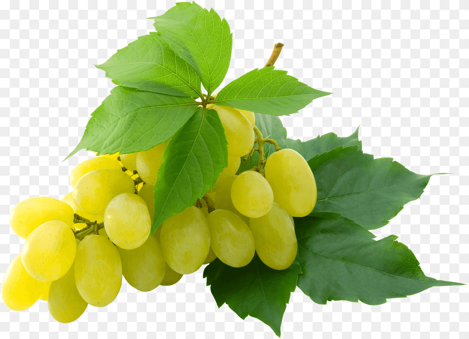 A Grape Is A Fruit Botanically A Berry Of The Deciduous White Grapes, Food, Plant, Produce Png