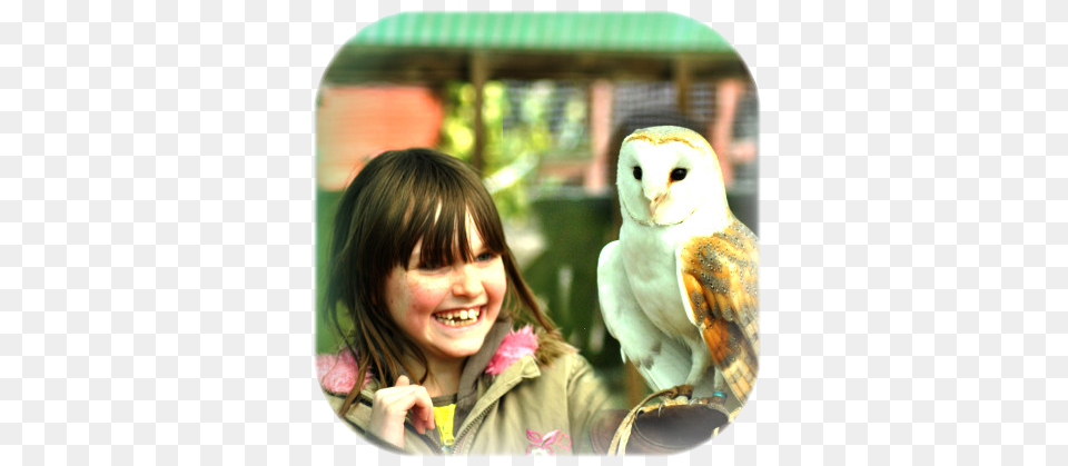 A Great Interactive Taster Session For Younger Owl Barn Owl, Animal, Beak, Bird, Photography Png Image