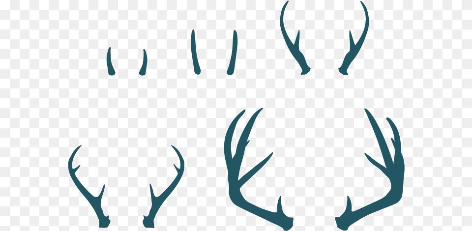 A Group Of Creatives Strategists And Business Antler, Person Png