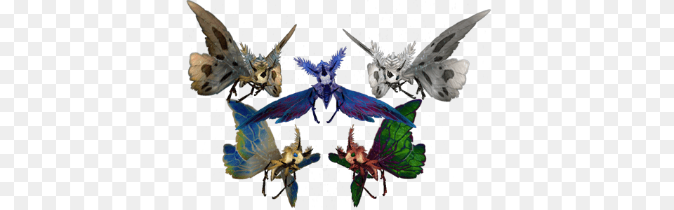 A Group Of Various Moths World Of Warcraft Moth, Animal, Bee, Insect, Invertebrate Png Image