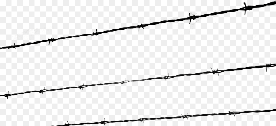 A Growing Evil, Wire, Barbed Wire Free Transparent Png