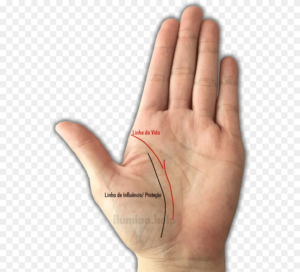 A Hand, Body Part, Finger, Person, Wrist Png