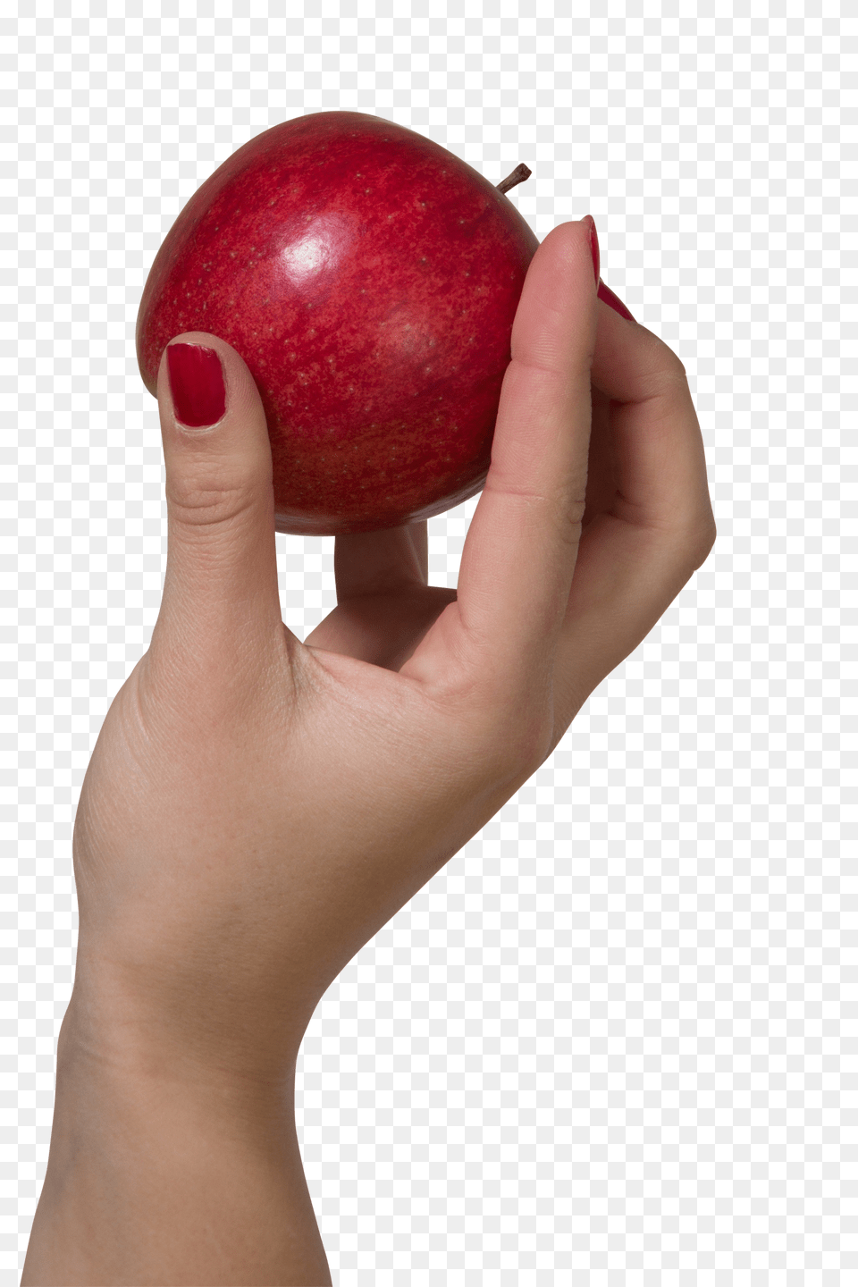 A Hand Holding Red Apple Apple In Hand, Plant, Fruit, Food, Produce Png Image