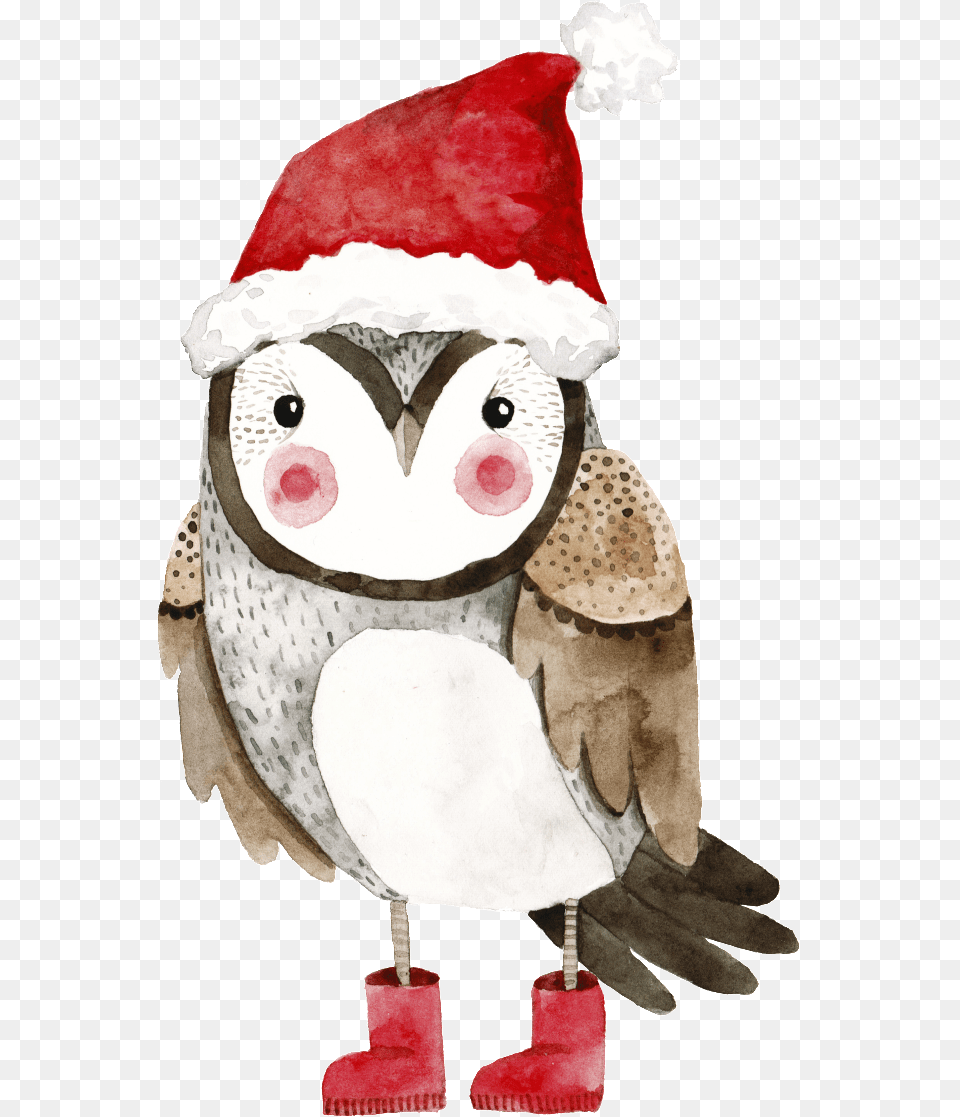 A Hand Painted Owl With A Christmas Hat Christmas Raccoon Illustration, Plush, Toy, Outdoors, Nature Free Png
