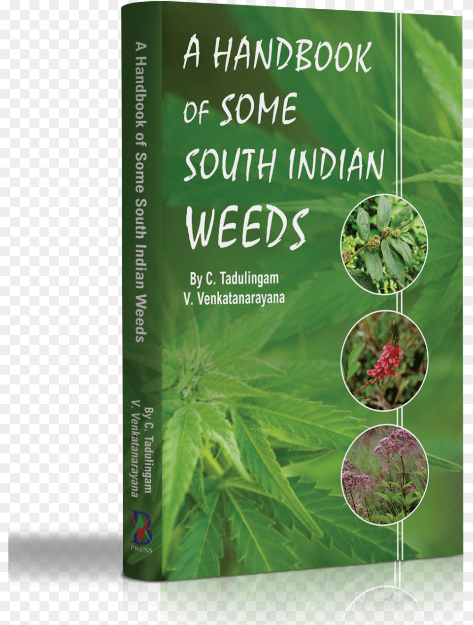 A Handbook Of Some South Indian Weeds Herbal, Herbs, Plant, Hemp Free Png