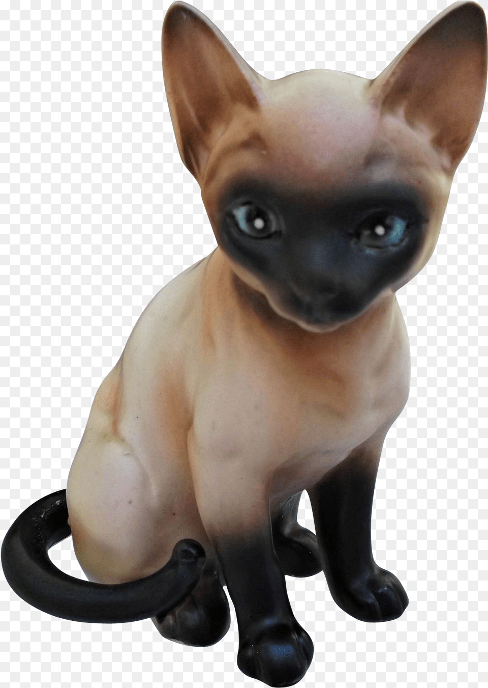 A Handsome Vintage Porcelainceramic Siamese Catkitten Cat, Animal, Mammal, Pet, Canine Free Png
