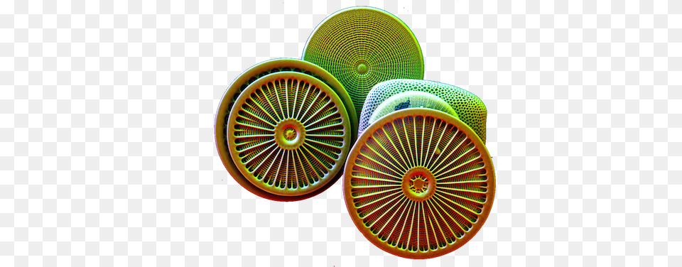 A Healthy Dose Of Plankton Humility Diatom, Spoke, Pattern, Machine, Accessories Free Transparent Png