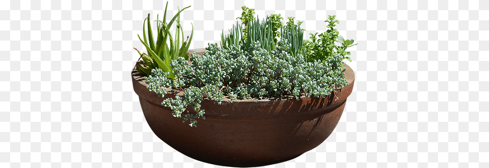 A Huge Cutout Clay Planter With Plants Possibly Including Planters With Background, Jar, Plant, Potted Plant, Pottery Png Image