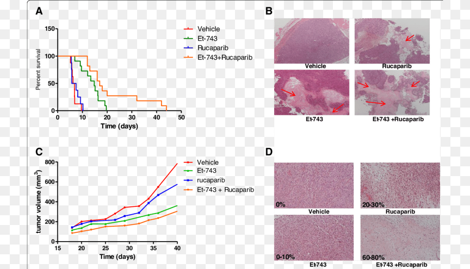 A In Vivo Effect Of Trabectedin And Rucaparib Combination Diagram, Chart Png