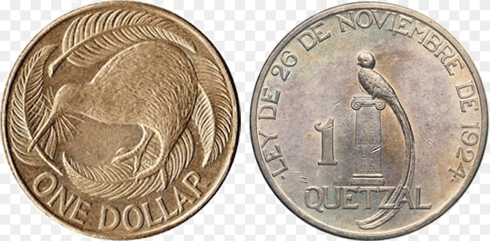 A Kiwi And A Quetzal, Coin, Money, Dime, Animal Free Png