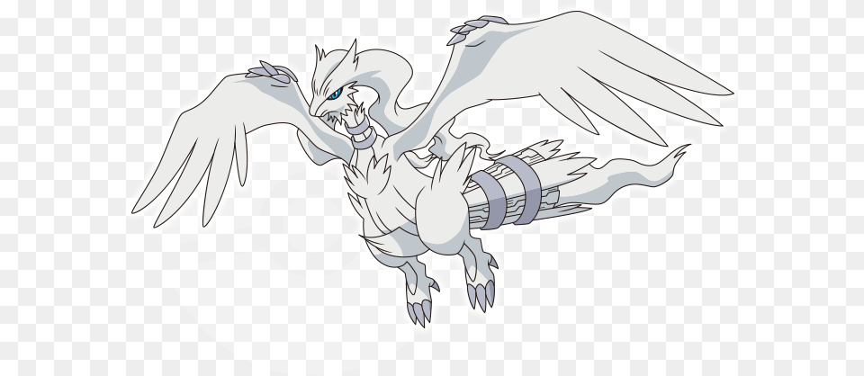 A Legendary Pokmon Pokemon Huyn Thoi Reshiram, Animal, Dinosaur, Reptile, Art Free Transparent Png