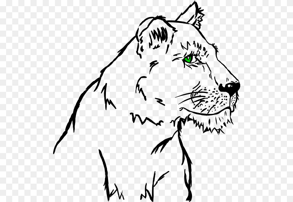 A Lioness Illustration, Green, Nature, Night, Outdoors Png