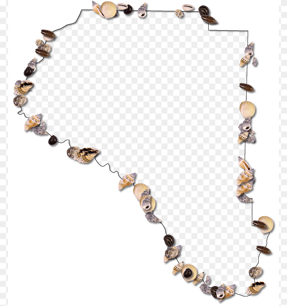 A Map Of Taylor With A Thin Black Outline Inner Drop Necklace, Mirror, Accessories, Jewelry Png