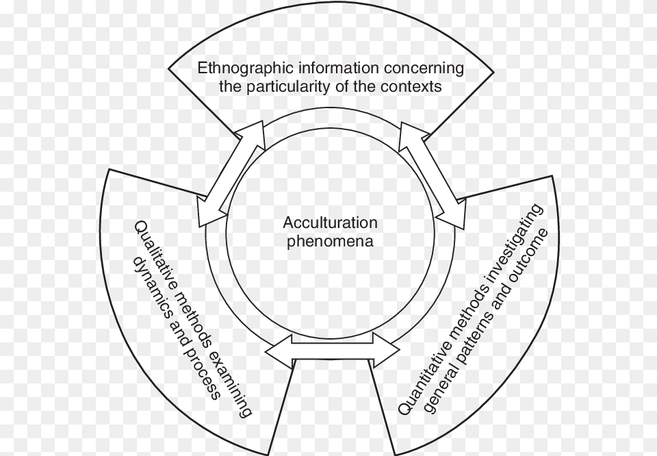 A Model Of Integrative Acculturation Psychology Psychology, Disk Free Png