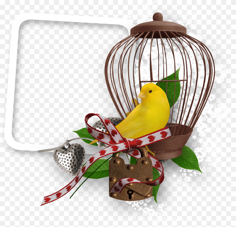 A Moldura Da Gaiola Bird, Animal, Canary Png Image