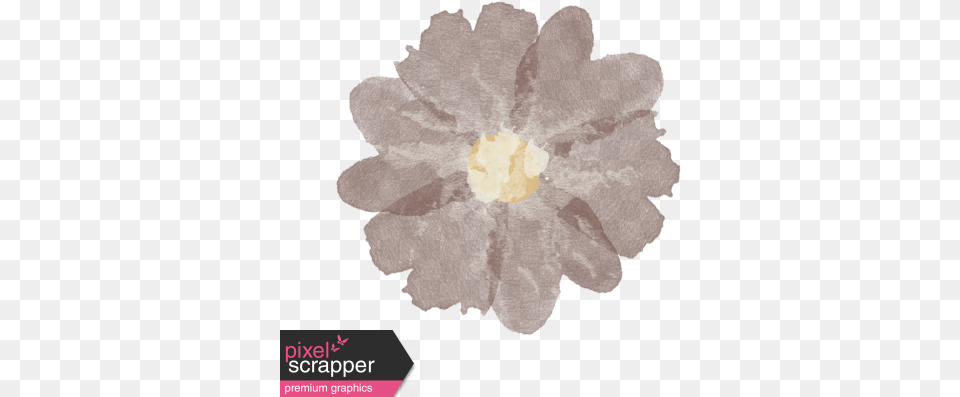A Motheru0027s Love Painted Flower 10 Graphic By Janet Scott Artificial Flower, Home Decor, Plant, Art, Painting Png Image