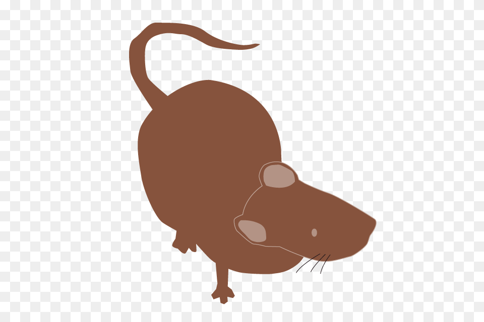 A Mouse Clip Art Material Illustration, Animal, Mammal, Rodent, Rat Free Png Download