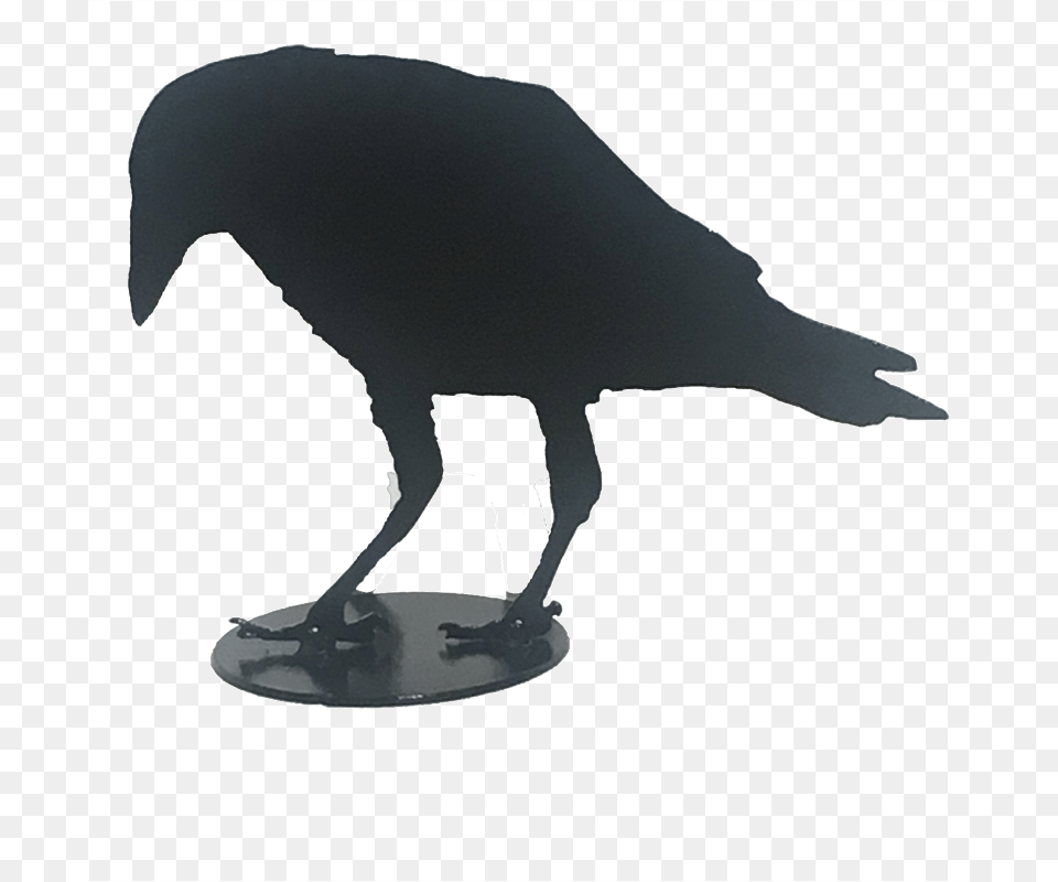 A Murder Of Crows Fish Crow, Animal, Bird, Blackbird, Mammal Png Image
