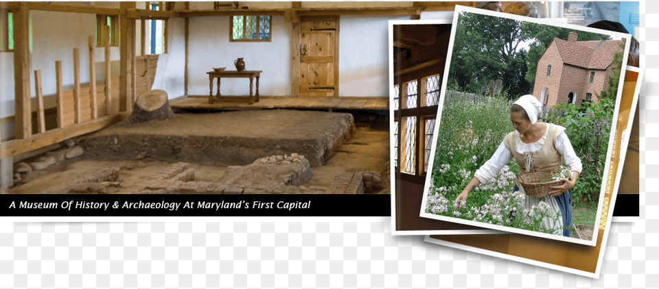 A Museum Of Historically Amp Archaeology At Maryland Tree, Wood, Person, Carpenter, Woman Free Transparent Png