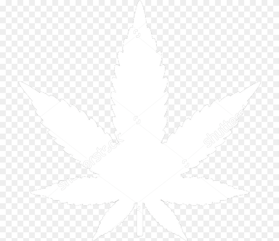 A Neurobiologist Says Medical Marijuana Could Solve Toronto Marijuana Leafs, Leaf, Plant, Stencil, Animal Free Png
